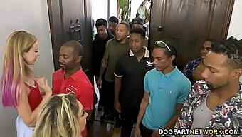 Haley Reed And Her Milf Mother Kiki Daire In A Cum-Filled Orgy With 12 Black Men