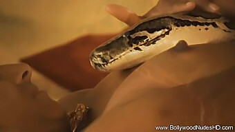 India'S Hottest Milf In A Snake-Themed Strip Tease