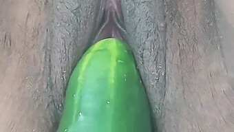 Garota Latina Amadora Se Satisfaz Com Um Dildo E Um Pepino