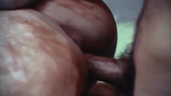 Classic 70s Porn With Eric Edwards In Nostalgia 15