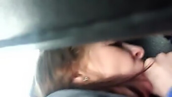 Homemade Video Of Gf Sucking In Car