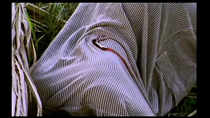 Softcore in klasika: Lina Romay in Amber Newman v vintage pornografiji