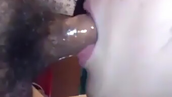 Amateur Asian Takes Sloppy Loads In Mouth