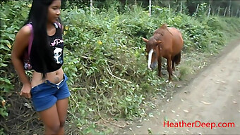 Hd Video Of Peeing Next To A Horse In The Jungle