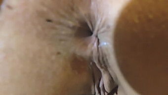 Pornstar Anal Latina Peituda